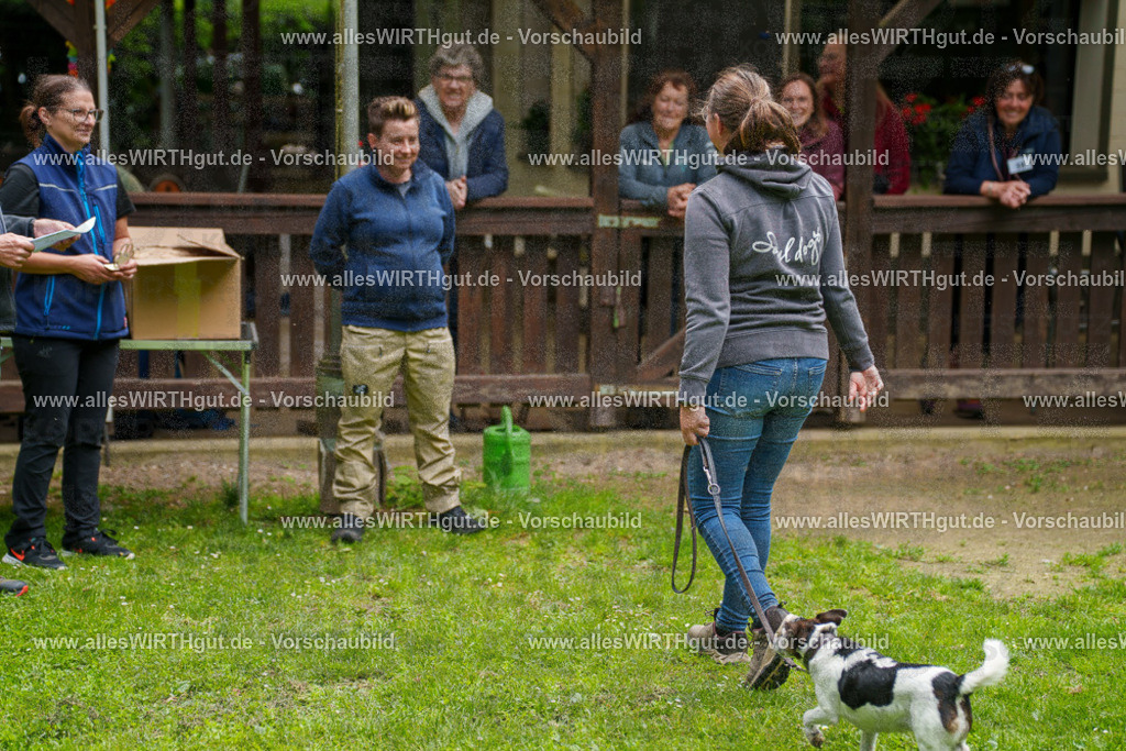 @allesWIRTHgut_Tierfotografie - www.allesWIRTHgut.de - 114540-7R508488 | Professionelle Tierfotografie in Mönchengladbach von Daniel Wirth (allesWIRTHgut). Liebevolle & natürliche Bilder von Hunden & Katzen für unvergessliche Erinnerungen.