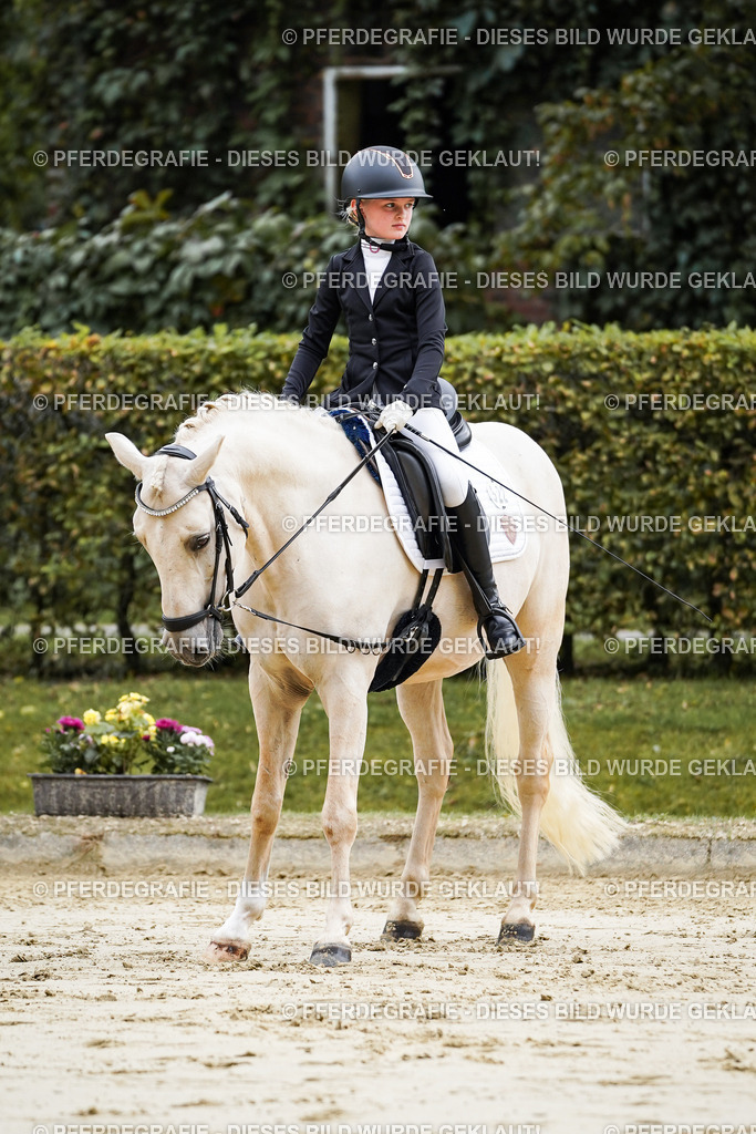 DSC05707 | Pferdegrafie