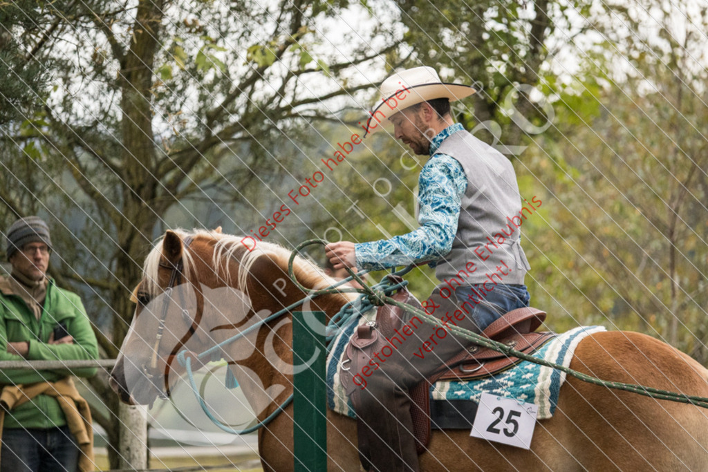 CON_8495 | Sport-, Event- und Tierfotos in Profiqualität. Einfach auswählen, bestellen und herunterladen. Dein Moment – perfekt festgehalten.