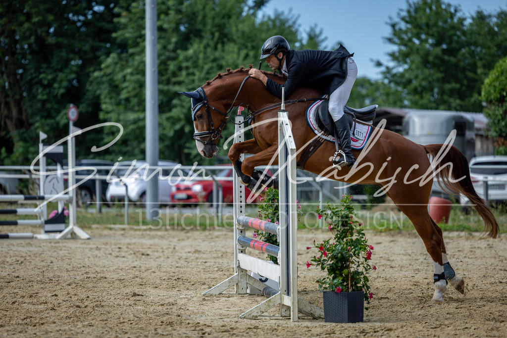20260704-_3LI6786 | Tierfotografie Pferde, Hunde, Katzen, Haustiere.
Turnierfotografie Reitturniere, Reiten, Springreiten, Dressur in Hanau, dem Main-Kinzig-Kreis und dem Rhein-Main- Gebiet um Frankfurt