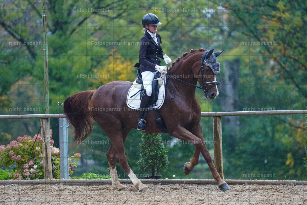 20221008-FAH02213 | Diessen am Ammersee, 2022, Dressur- und Springturnier, Reitsportbilder, Turnierfotografen Bayern, Pferdefotografen, Fotoagentur Herrmann, Turnierbilder