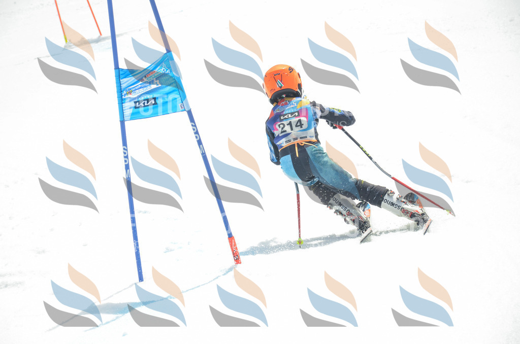 _ELE7095 | holidayphoto