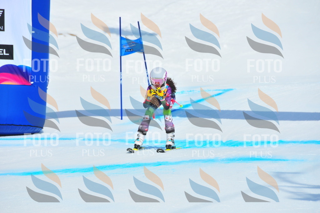 DSC_5299 | holidayphoto