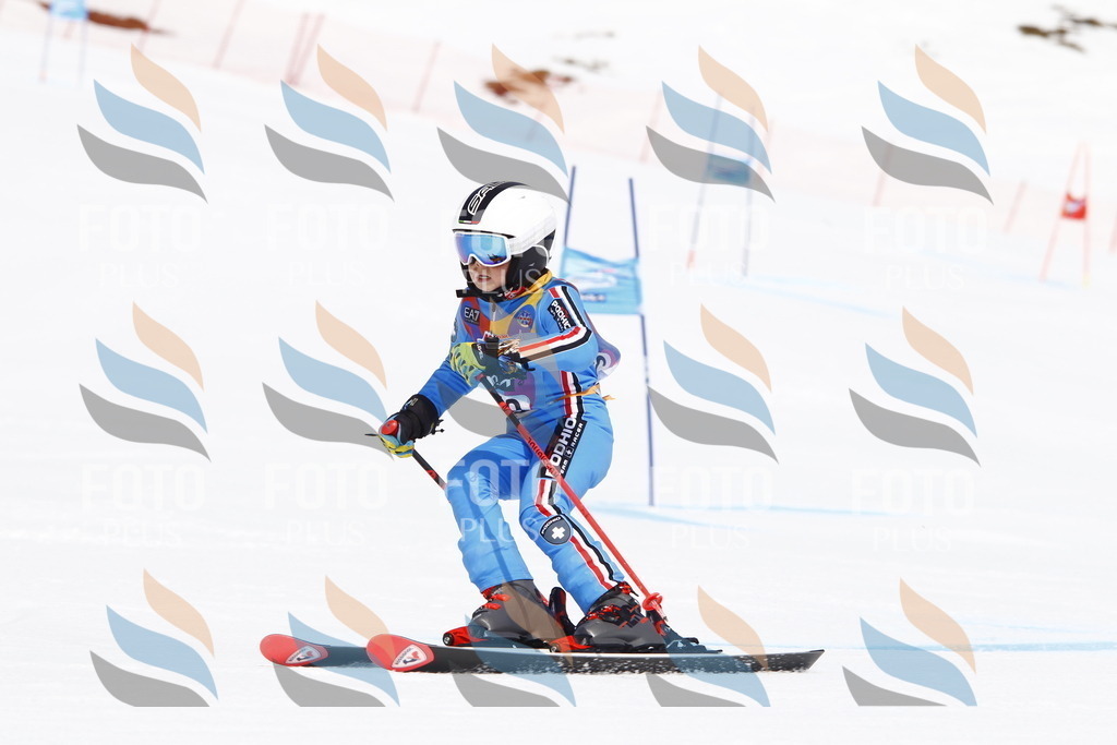 _U3G5658 | holidayphoto