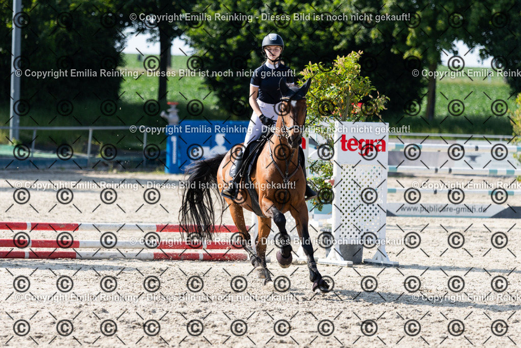 CL5A1197 | Emilia Reinking Fotografie - Realisiert mit Pictrs.com