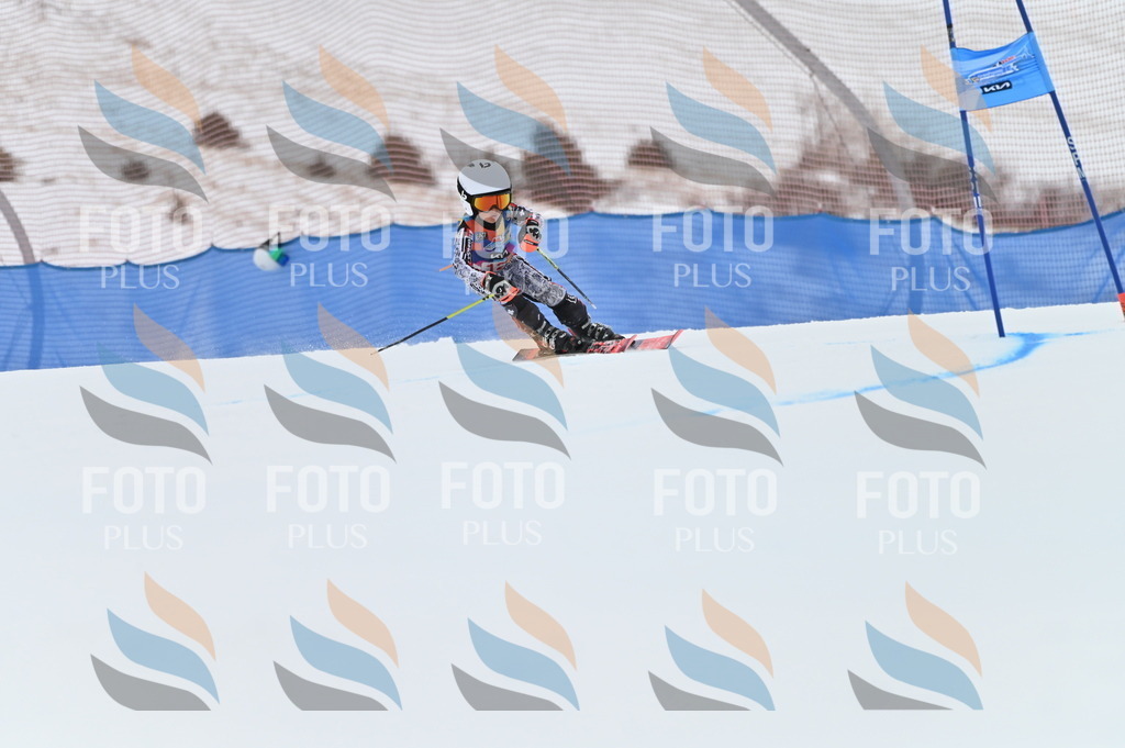 BGV_9829 | holidayphoto