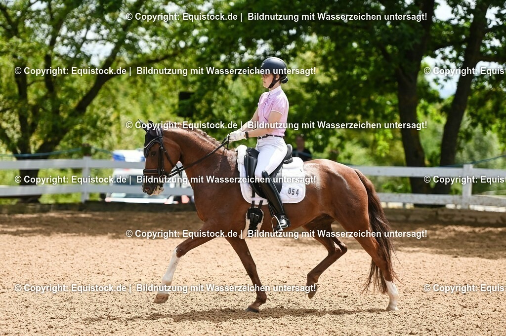 20230716_03_Dressurprfg. Kl.L - Tr._0219 | equistock