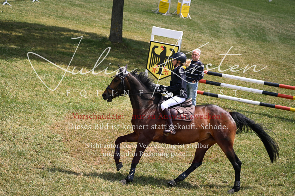 DSC_9814 | Pferde- und Turnierfotografie in Westsachsen. Pferdeportraits, Auftragszeichnungen und intuitive Kunst.