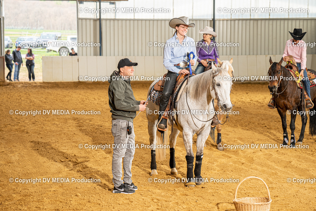 MIT01377 | dv-media-shop - Realisiert mit Pictrs.com