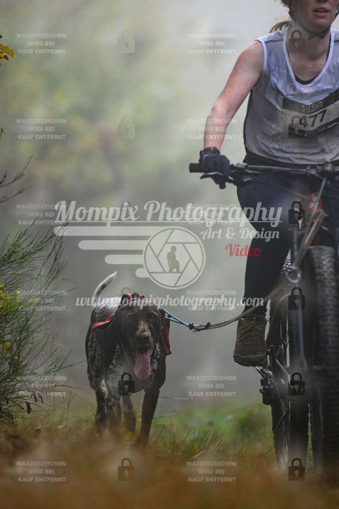 MompixPhotography_20TSB_E4_Bike-125 | PayLife