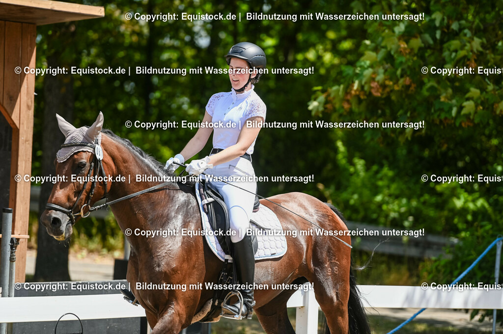 20230715_09_Dressur-WB_0286 | equistock
