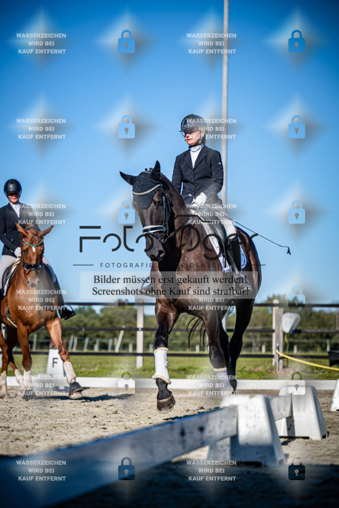 2026-09-Lohne-11-0035 | Entdecke hochwertige Reitturnierfotos von Foto Oger. Professionell, emotional und authentisch – jetzt Lieblingsmomente im Shop bestellen.Deutschlandweite Turnierfotografie. - Realisiert mit Pictrs.com