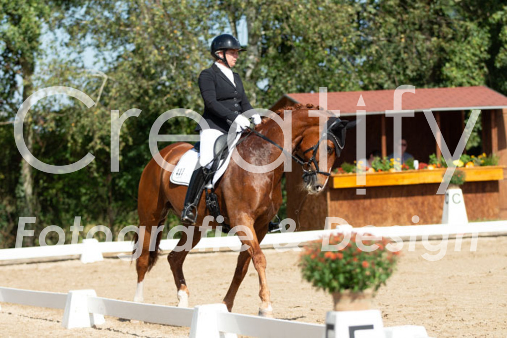 IMG_2666 | Creatify Fotografie