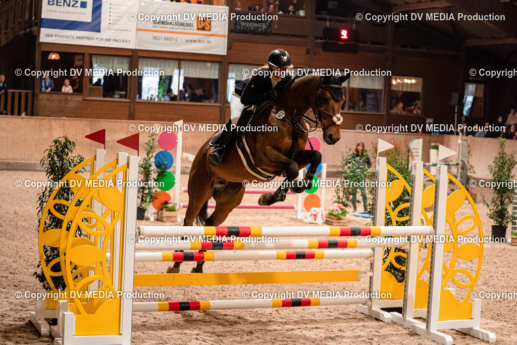 Springen Tag 2-717 | dv-media-shop - Realisiert mit Pictrs.com