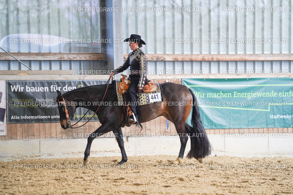 DSC08991 | Pferdegrafie