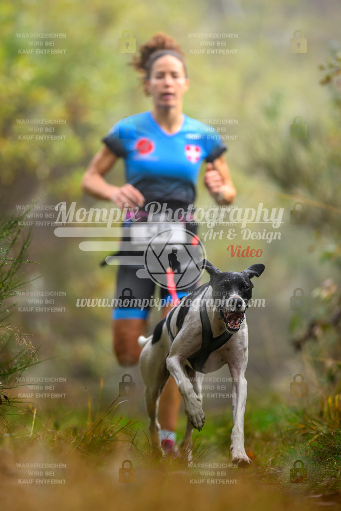 MompixPhotography_20TSB_E4_Run-14 | PayLife