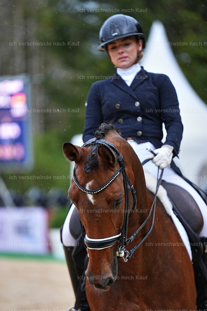 8_1-001-Klasse S_  -Marixx-4317 | working equitationturnier fotograf videograf stoibphotography marixx film working equitation deutschland reitsport turnierfotografie eventfotografie equestrian events