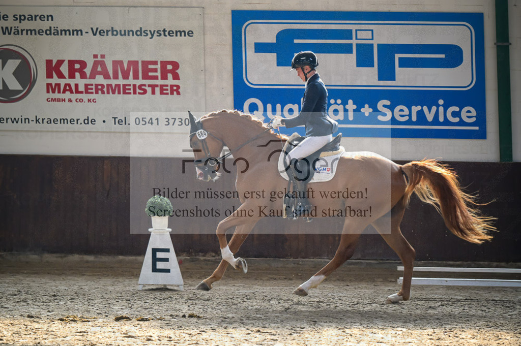 Reitturnier Voxtrup | Entdecke hochwertige Reitturnierfotos von Foto Oger. Professionell, emotional und authentisch – jetzt Lieblingsmomente im Shop bestellen.Deutschlandweite Turnierfotografie. - Realisiert mit Pictrs.com