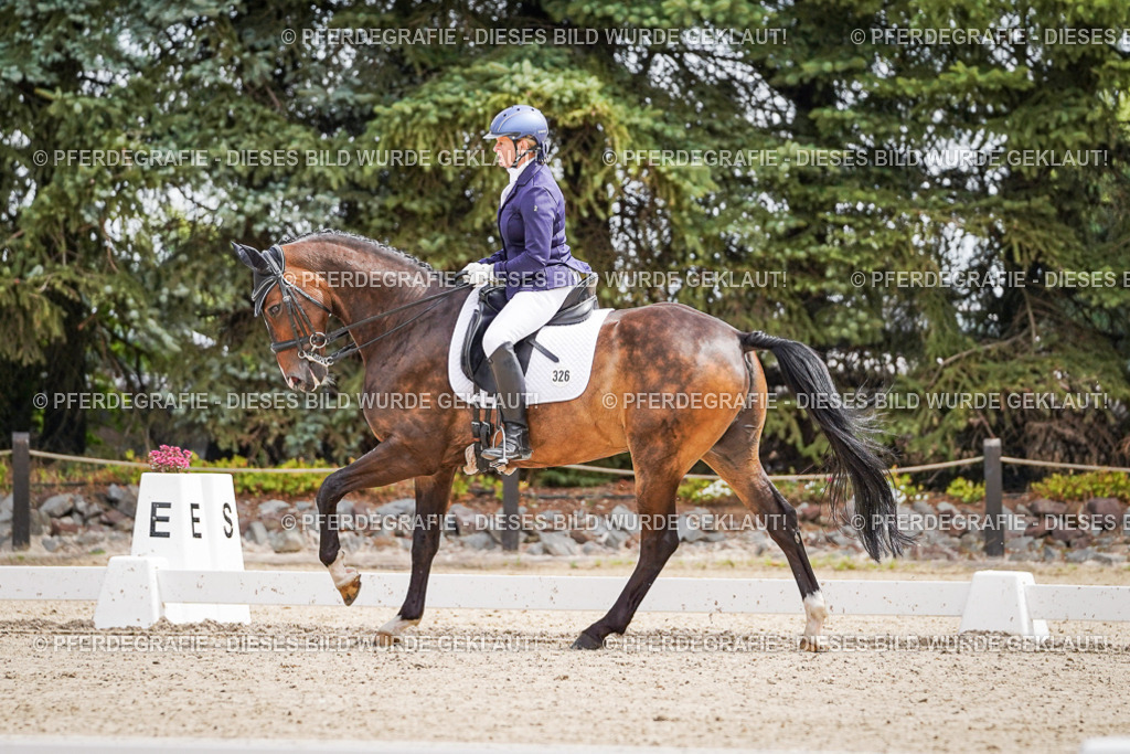 DSC02523 | Pferdegrafie