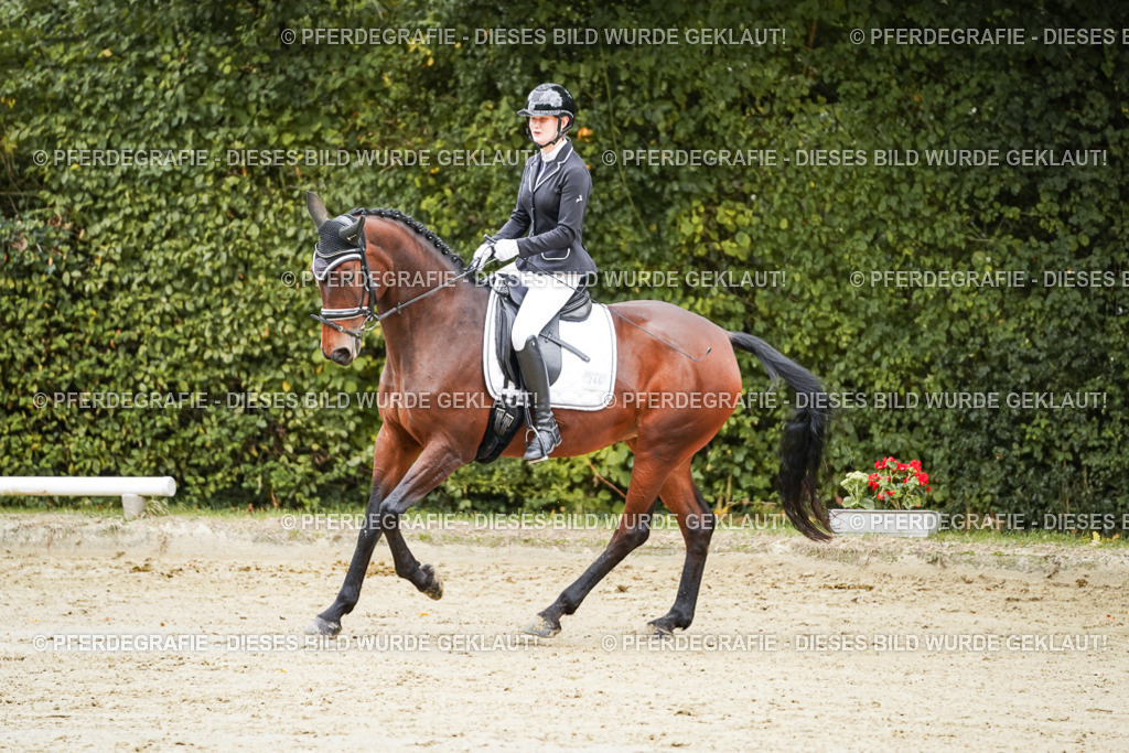 DSC08916 | Pferdegrafie