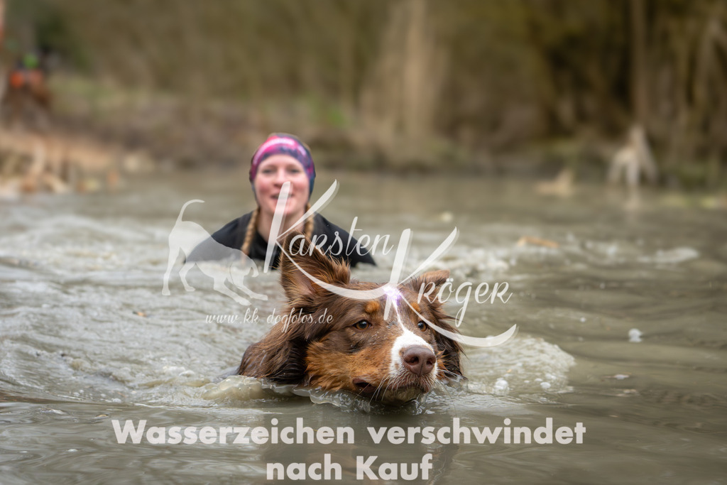 1246_ZZ90504 | kk-dogfotos