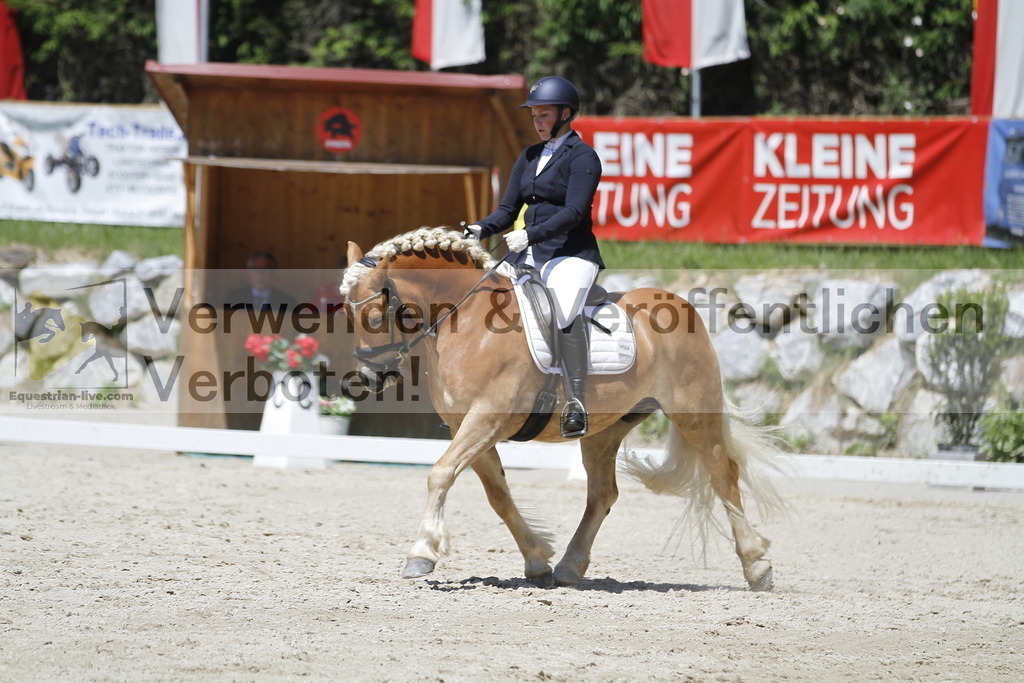 _MG_5293 | equestrian-live-com
