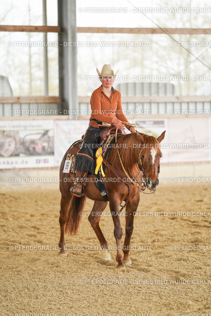 DSC03316 | Pferdegrafie