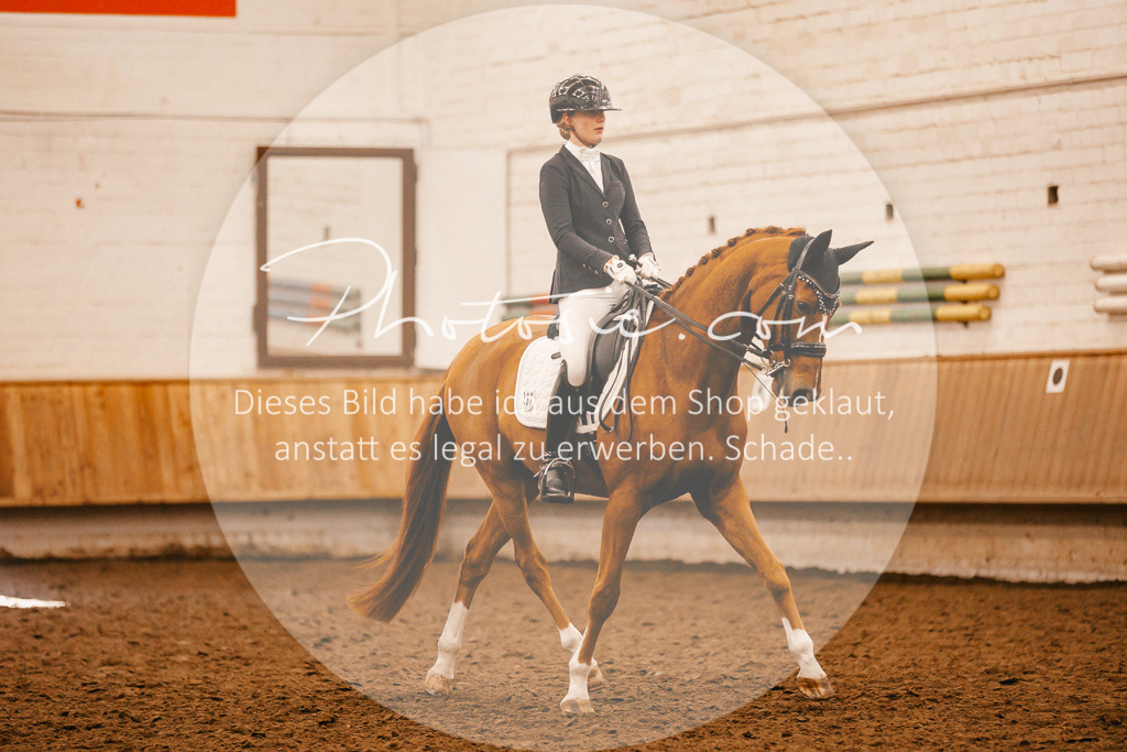 3I6A2356 | Stimmungsvolle Portraits und Reitsportfotografie im Ruhrgebiet und im Münsterland.

Pferdefotografie, Hundefotografie, Tierfotografie, Reportagen, Portraits von Tier und Mensch, Turnierfotografie in Bochum, Recklinghausen, Marl, Haltern am See, Dülmen.. - Realisiert mit Pictrs.com