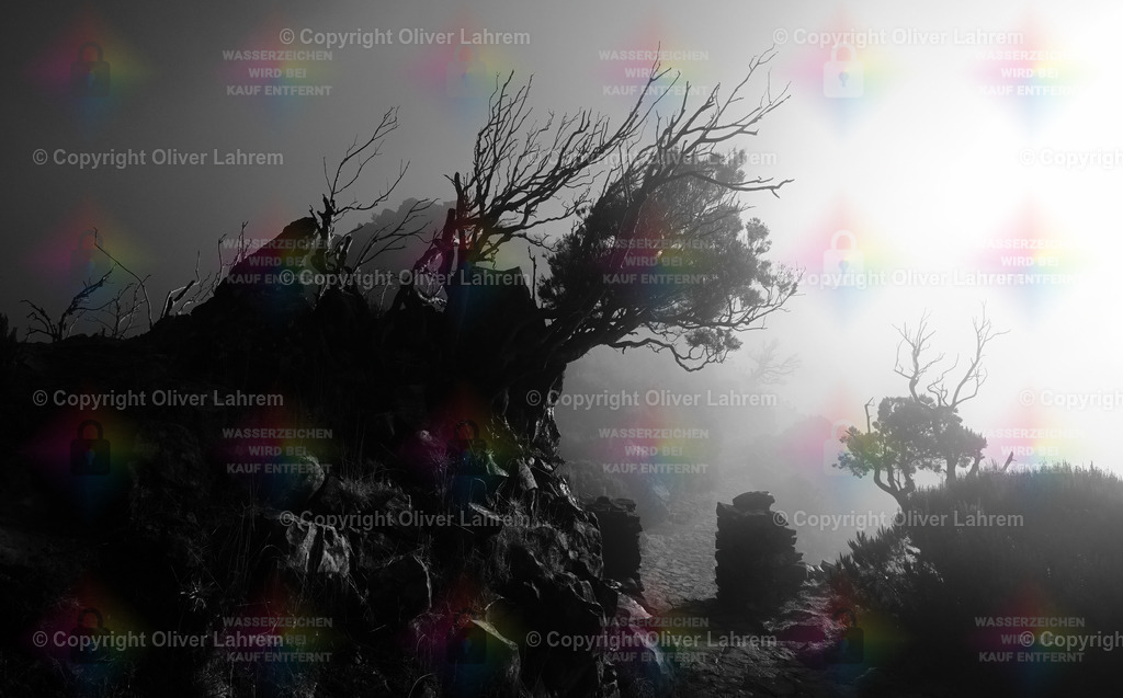Mystische Berge Madeiras | Der Weg von der Achada do Teixeira zum Pico Ruivo ist gut mit Natursteinen befestigt .. Immer wieder ziehen Wolken auf und verdecken die Sicht.