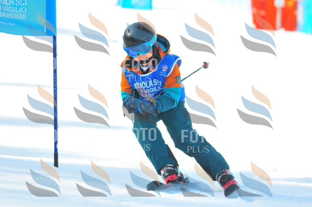 B8827 | holidayphoto