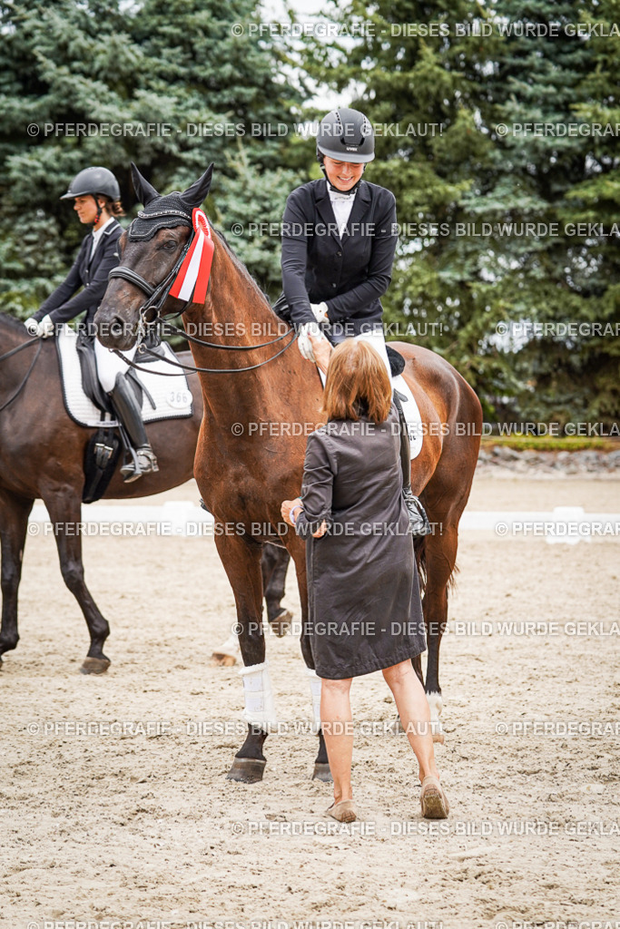 DSC04771 | Pferdegrafie