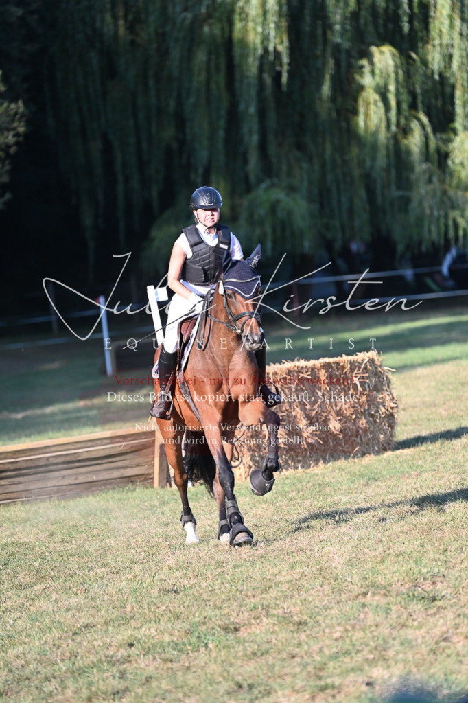 DSC_9162 | Pferde- und Turnierfotografie in Westsachsen. Pferdeportraits, Auftragszeichnungen und intuitive Kunst.