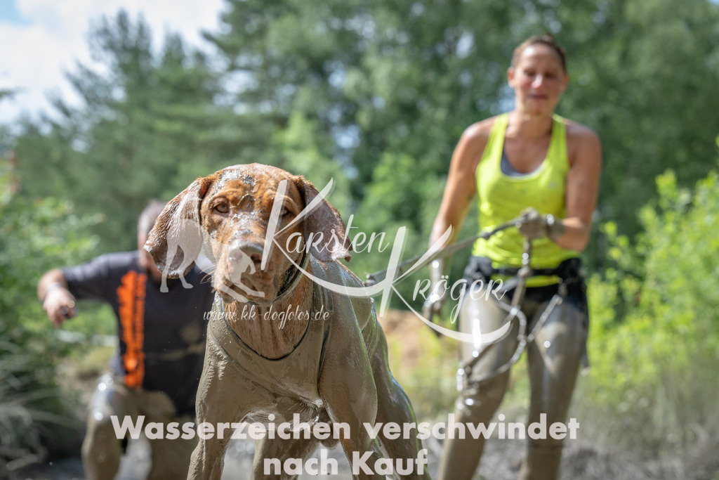 1114_ZZ90768 | kk-dogfotos