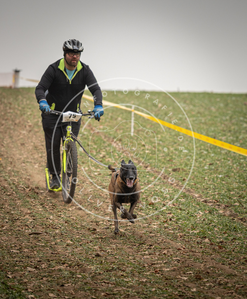 Pfotenfotografie_DV3A3886 | Hundefotografie, Tierfotograf, Pfotenfotografie, Fotoshooting Hund, Hunde Portrait, Hundesport, Hundeportraits, Heideshooting, Hunde, Sportfotograf, Hundefotograf, Turnierhundsport, THS,  - Realisiert mit Pictrs.com