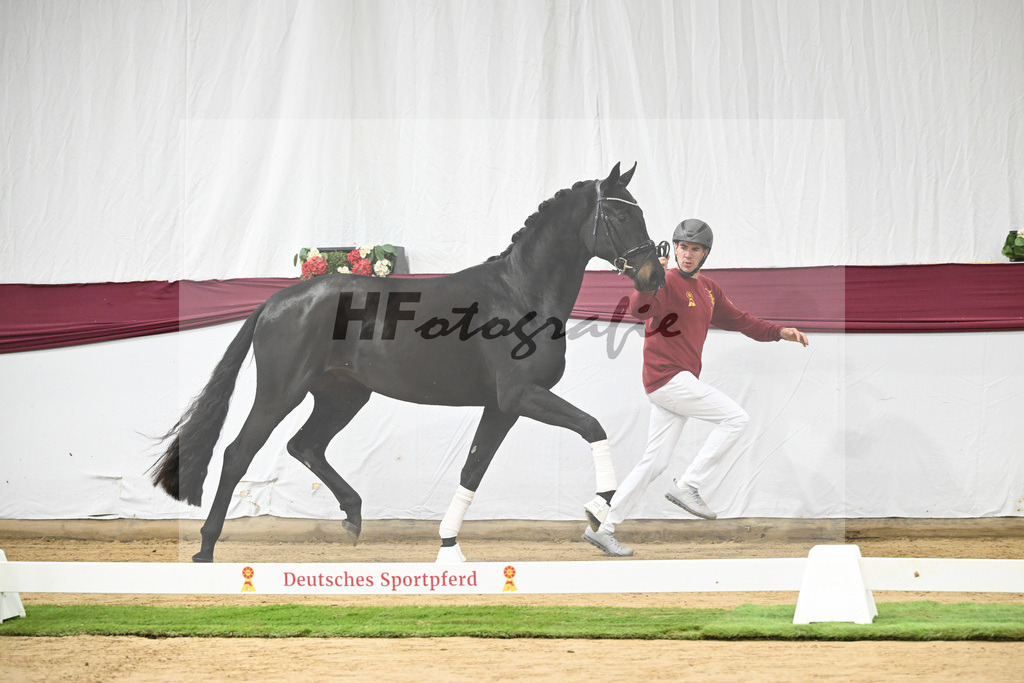 Kat-Nr. 112 Fynch Hatton x Damon Hill_Sibille Hachtel_47253370 | hf-fotografie - Realisiert mit Pictrs.com