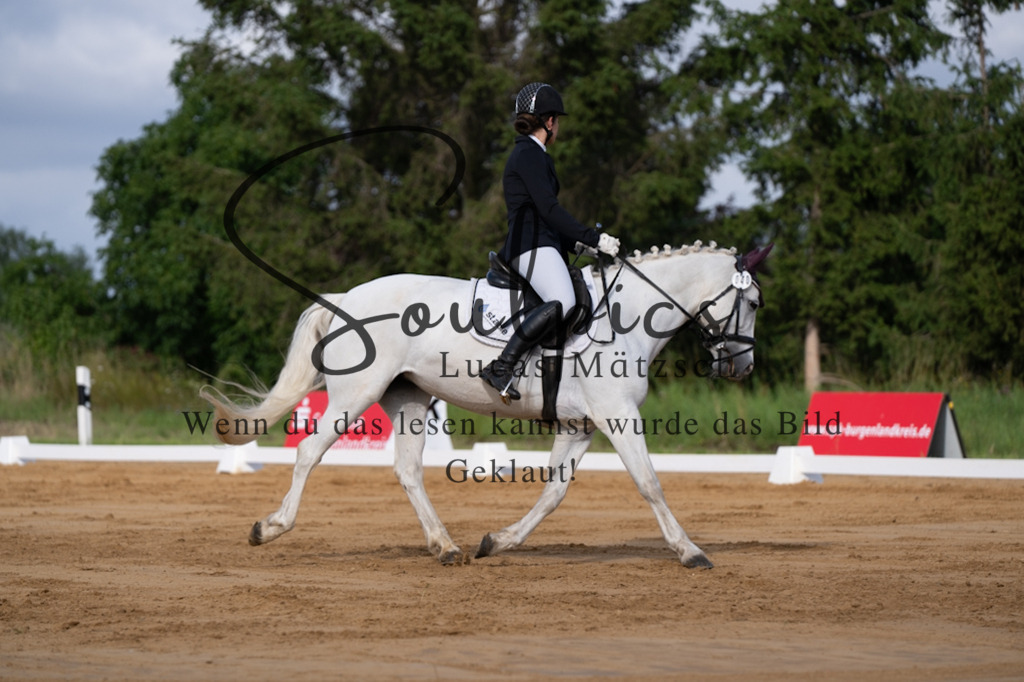 A7V05161 | Pferdefotograf