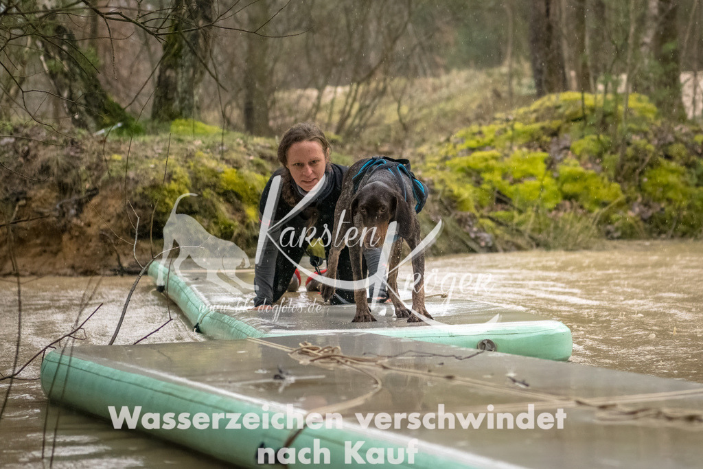 1050_ZZ93571-Bearbeitet | kk-dogfotos