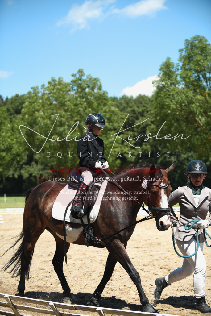 DSC_1809 | Pferde- und Turnierfotografie in Westsachsen. Pferdeportraits, Auftragszeichnungen und intuitive Kunst.