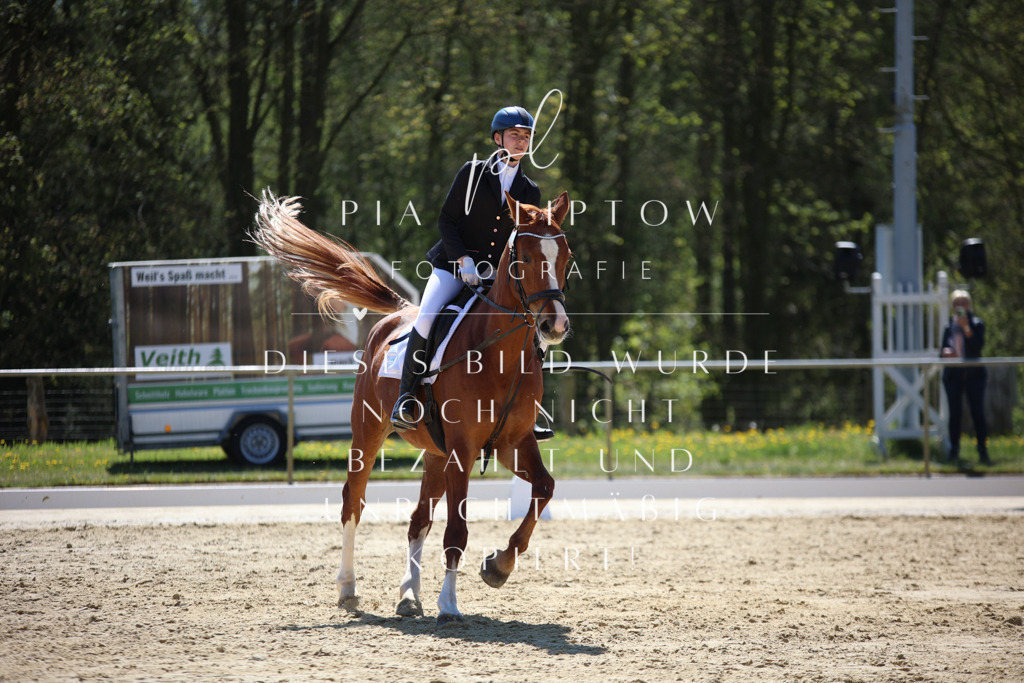 IMGT0330 | pl-fotografie