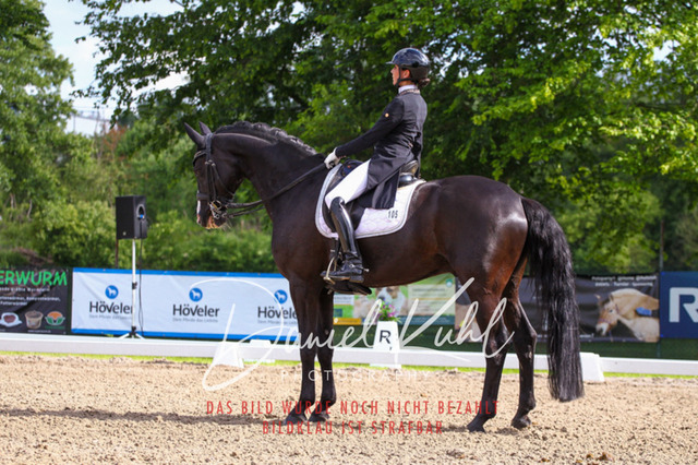 DKP41537 | Deine Turnierfotos vom Reitturnier online kaufen: Dressur, Springen & Siegerehrung. Professionelle Pferdefotografie aus dem Rheinland – als Download & Print.Alternative: Turnierfotograf für den Pferdesport: Finde deine Fotos von Dressur- und Springturnier