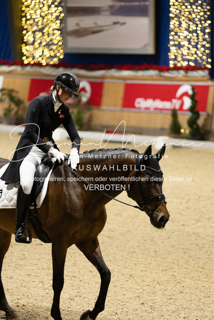 126A0378 | jasminmetznerfotografie