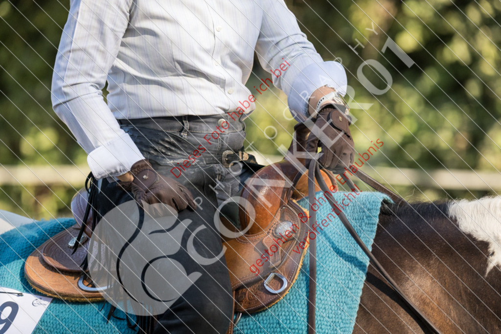 IMG_6592 | Sport-, Event- und Tierfotos in Profiqualität. Einfach auswählen, bestellen und herunterladen. Dein Moment – perfekt festgehalten.