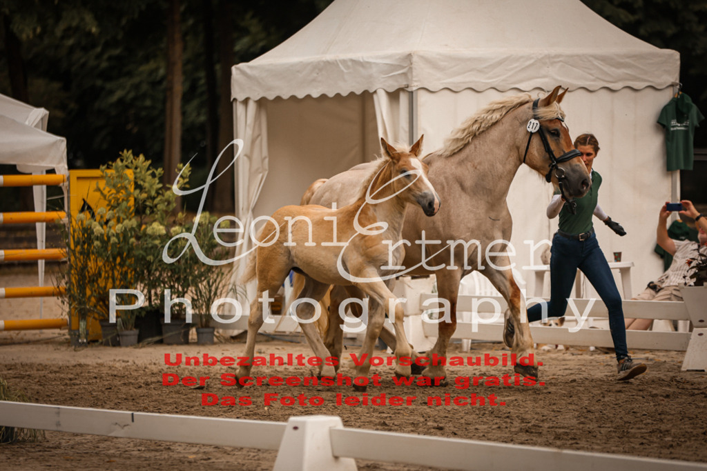 SaHF00063 | Leoni Ertmer Photography - Realisiert mit Pictrs.com