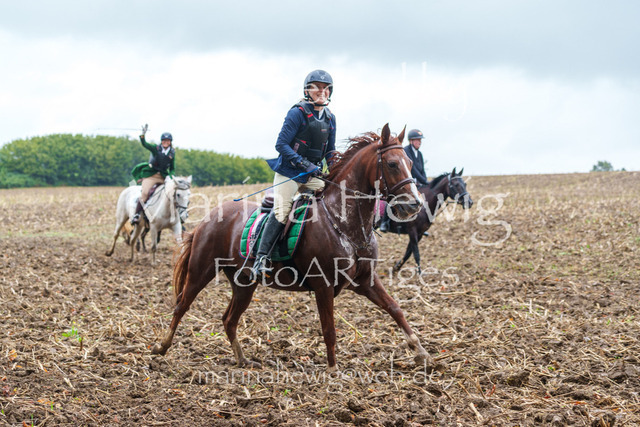 Jagd Kletkamp 26-03085_MarinaHewig | Fotografie, FotoArt, PferdesportArt, Pferdesportfotografie, Landschaftsfotografie, Reisefotografie, Reise, Pferde - Realisiert mit Pictrs.com