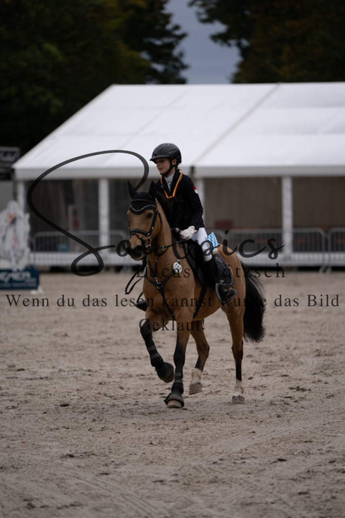 A7V01273 | Turnier/Reitfotograf