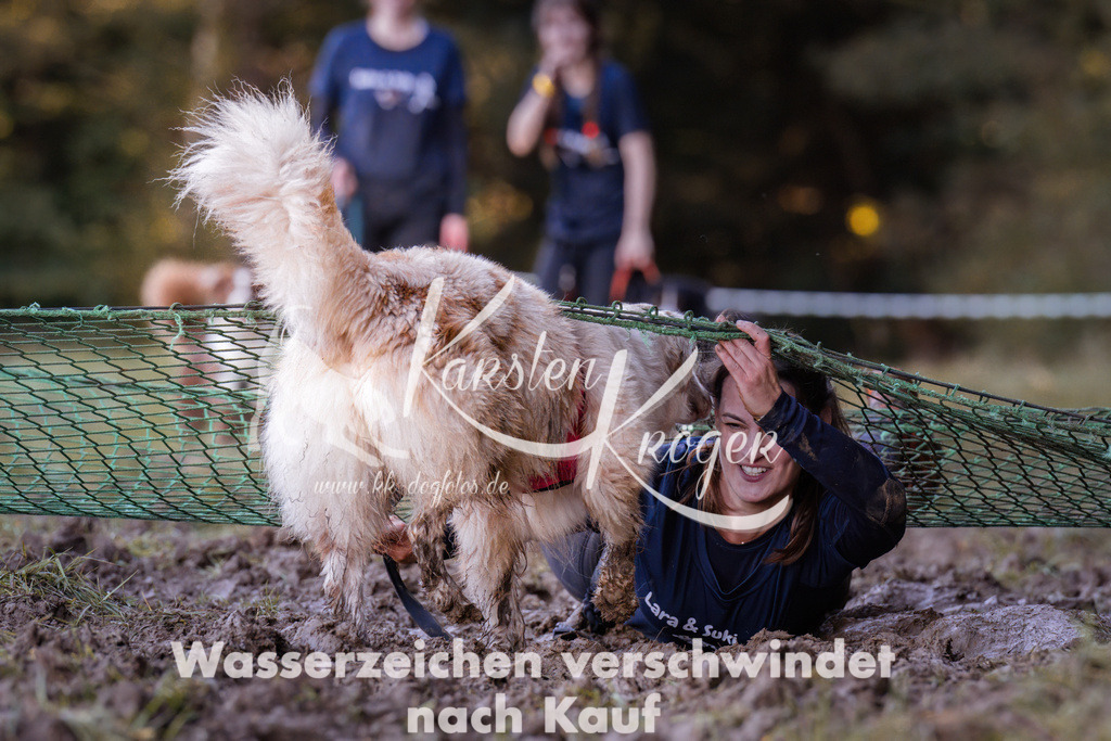 1055_ZZ93185 | kk-dogfotos