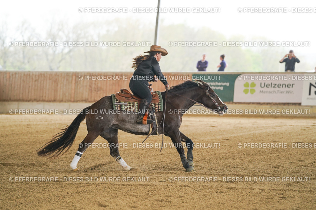 DSC07399 | Pferdegrafie