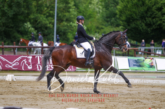 DKP40770 | Turniersportfotografie; Pferdefotografie; Dressurfotografie