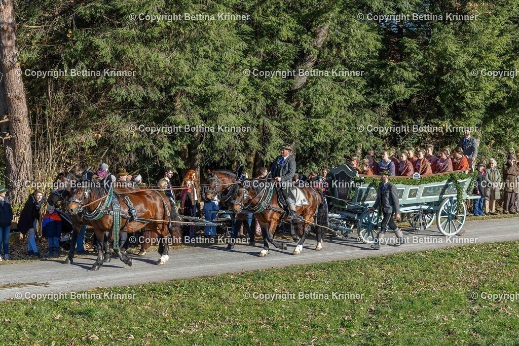 LBT25-318 | foto-bettina-krinner - Realisiert mit Pictrs.com