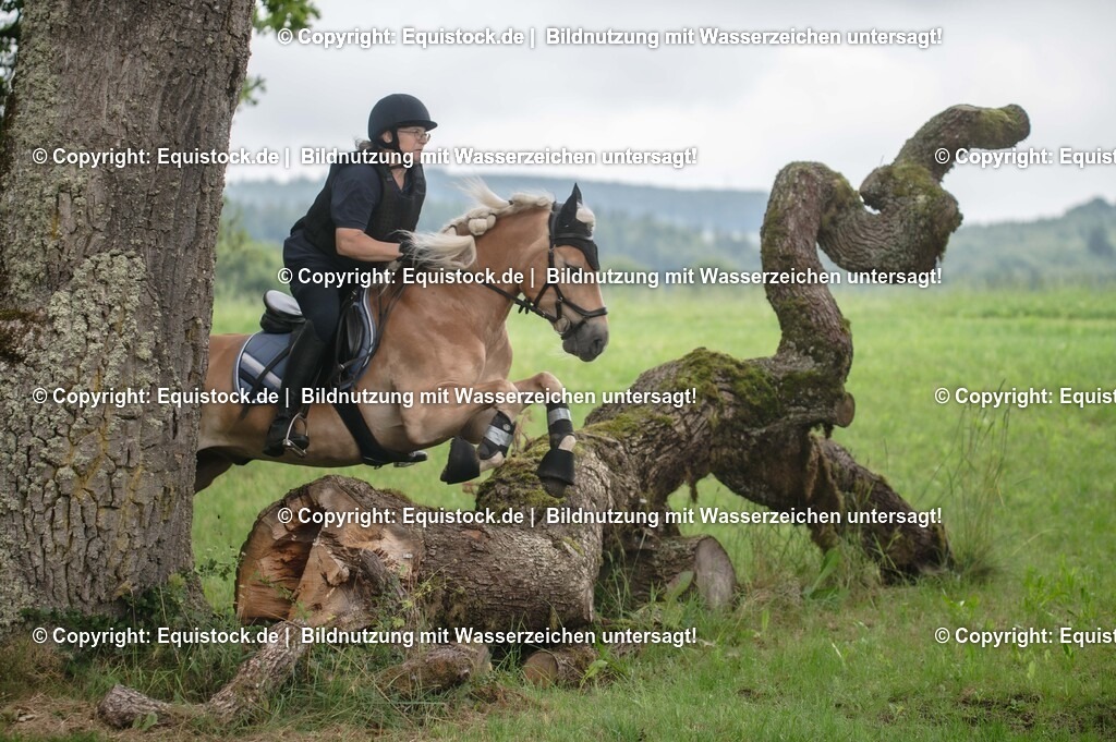20250726_Vielseitigkeitslehrgang-Marbach_0576 | Foto: Thomas Hartig